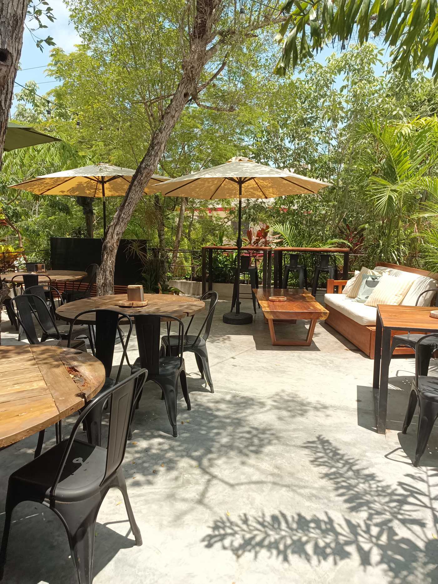 テラス席の風景